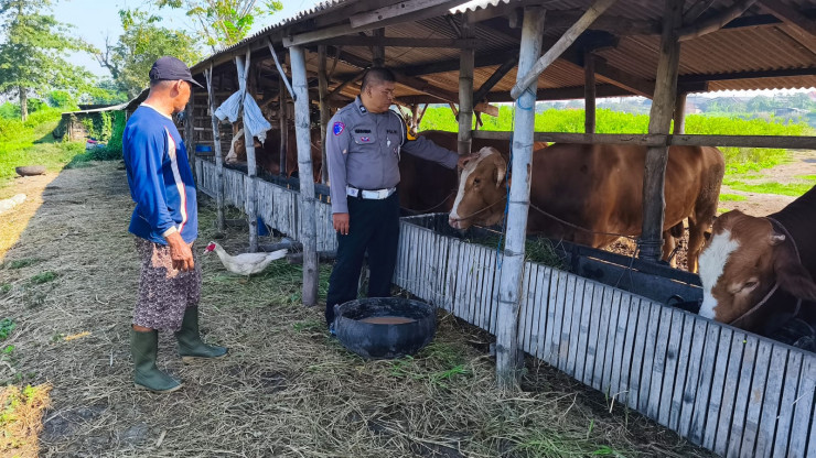 Polisi Tinjau Lahan Ketahanan Pangan di Desa Boro, Dukung Program P2B Tanggulangin