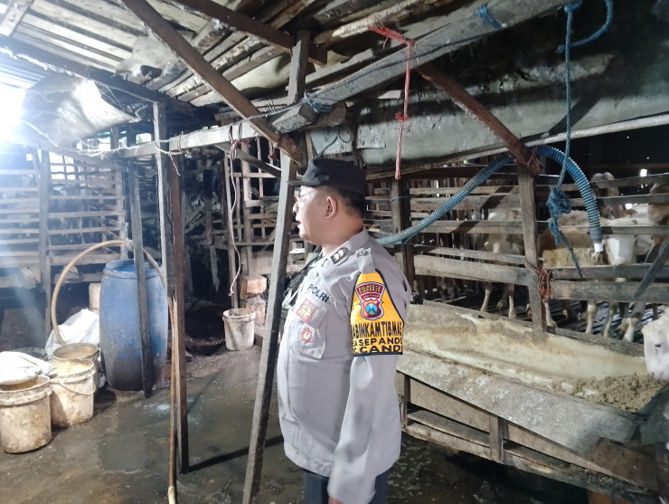 Bhabinkamtibmas Sepande Cek Peternakan Kambing Dukung Ketahanan Pangan Polresta Sidoarjo