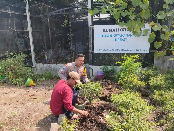 Polisi Apresiasi Rumah Organik Warga Sedati Gede dalam Mendukung Ketahanan Pangan