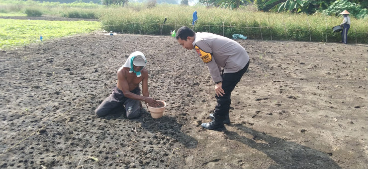 Polsek Sidoarjo Kota Cek Lahan Ketahanan Pangan di Sidokumpul