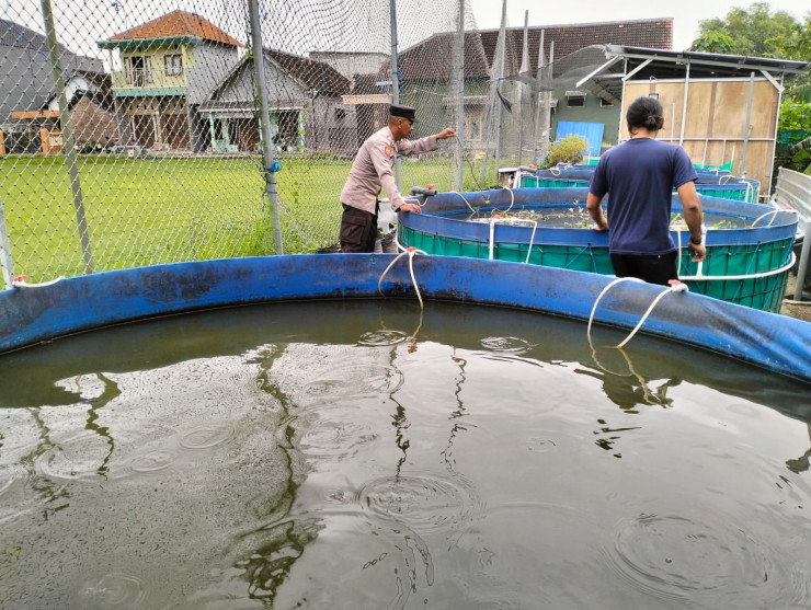 Bhabinkamtibmas Dorong Warga Entalsewu Manfaatkan Pekarangan Kosong untuk Budidaya Ikan Lele